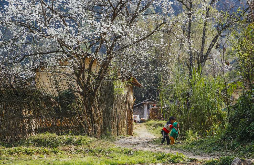 In every season, Dong Van tells a new story in stone and sky 